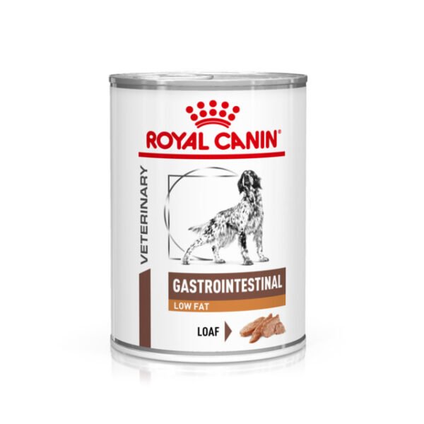 Royal Canin Veterinary Gastrointestinal Low Fat Wet Dog Food – 420g